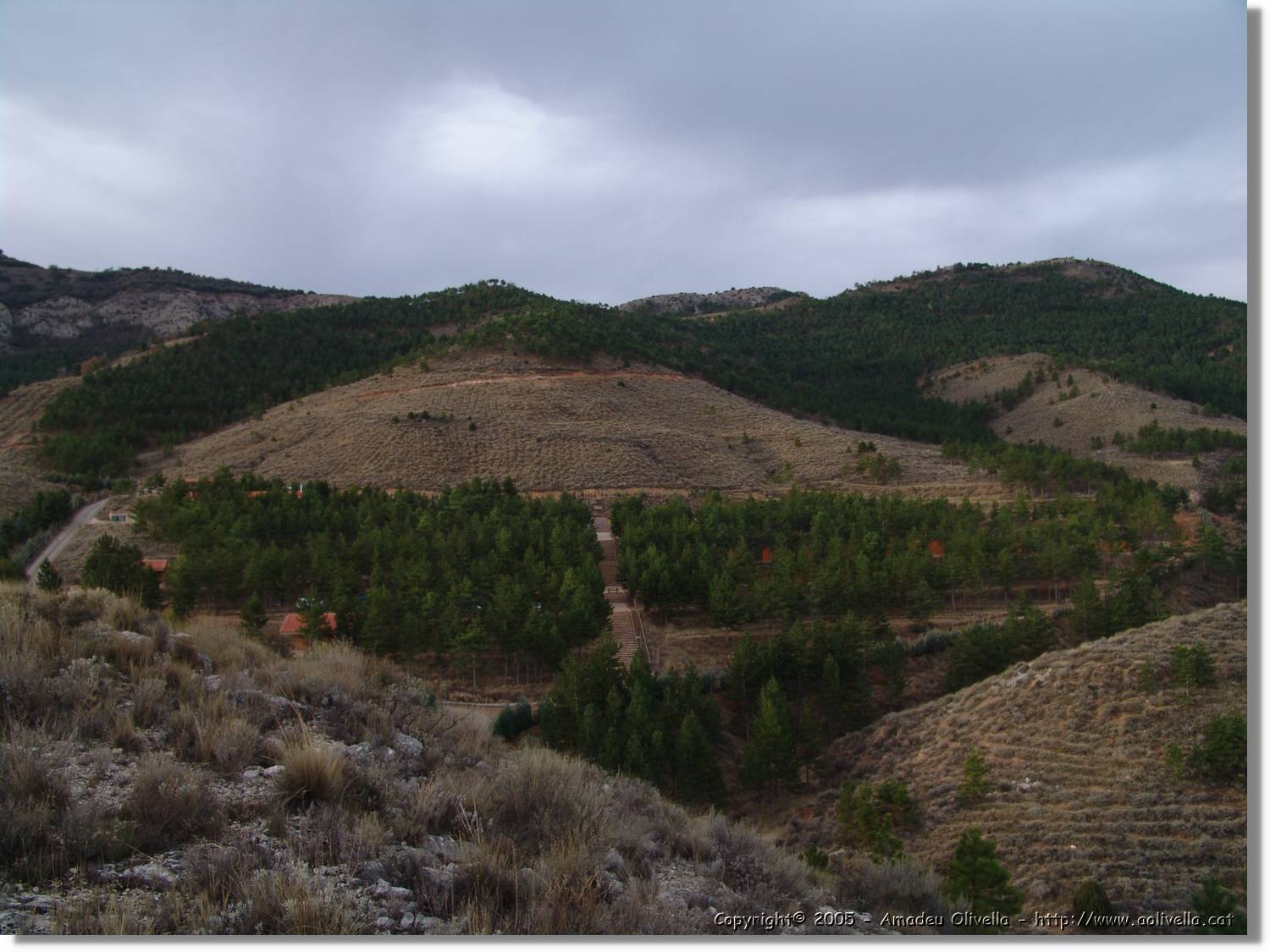 Calanda_085.jpg