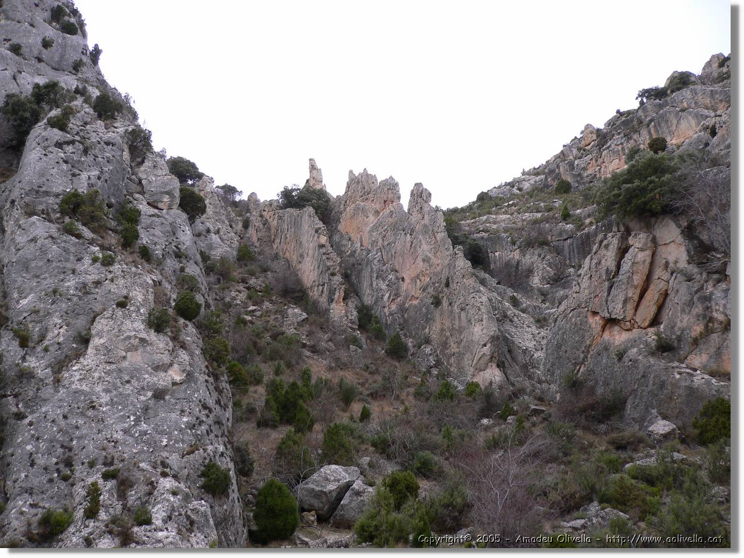 Calanda_136.jpg