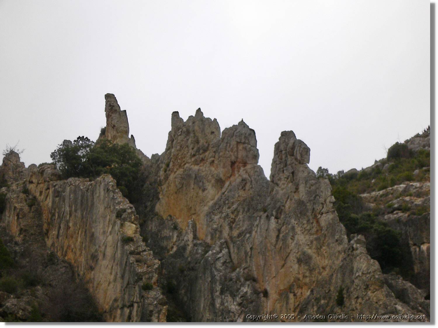 Calanda_142.jpg