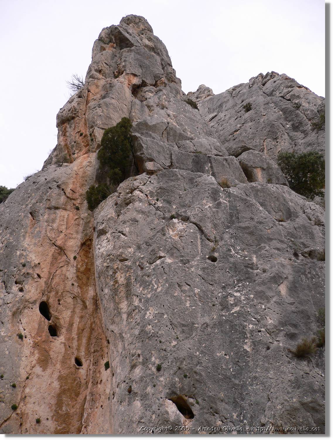 Calanda_143.jpg
