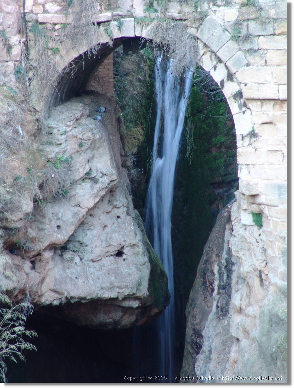 Calanda_192.jpg