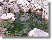Calanda_063.jpg