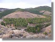 Calanda_083.jpg