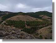 Calanda_085.jpg