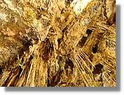 Calanda_149.jpg