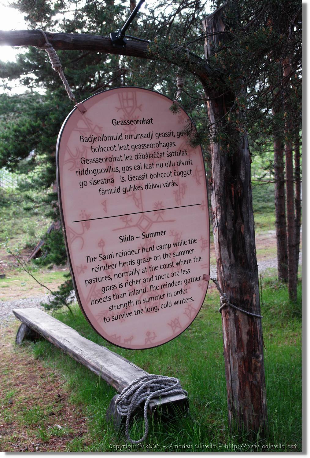 NKapp_084.jpg