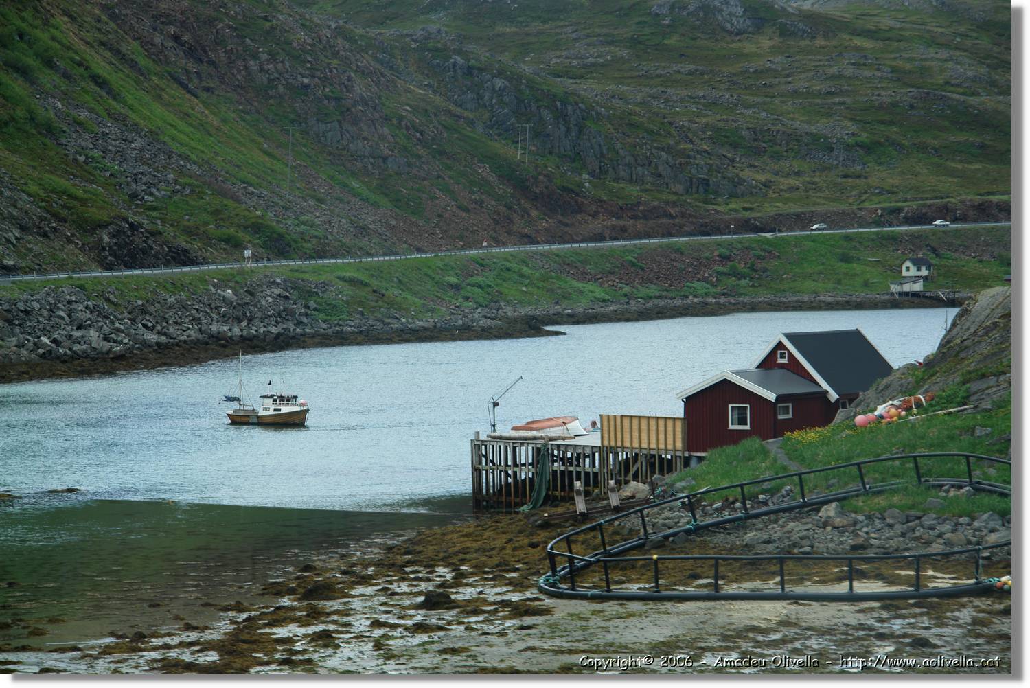 NKapp_206.jpg