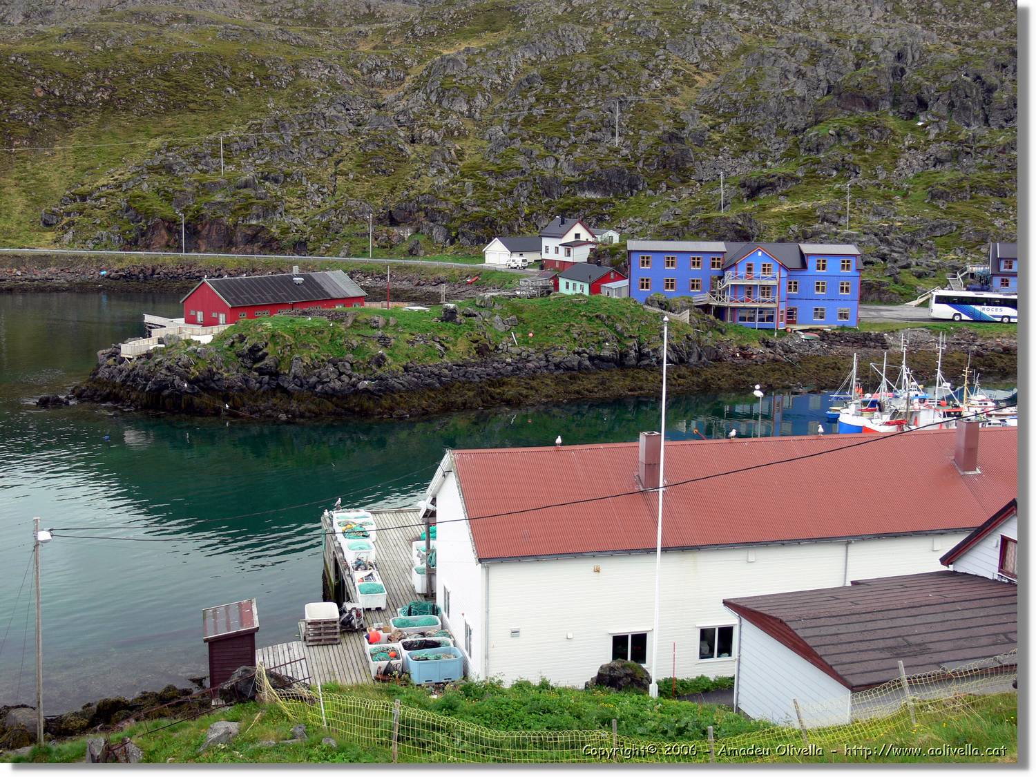 NKapp_239.jpg