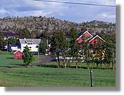 NKapp_446.jpg