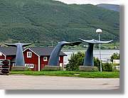 Tromso_307.jpg