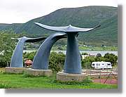 Tromso_310.jpg