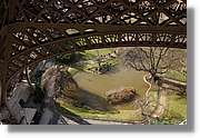 Paris_249.jpg