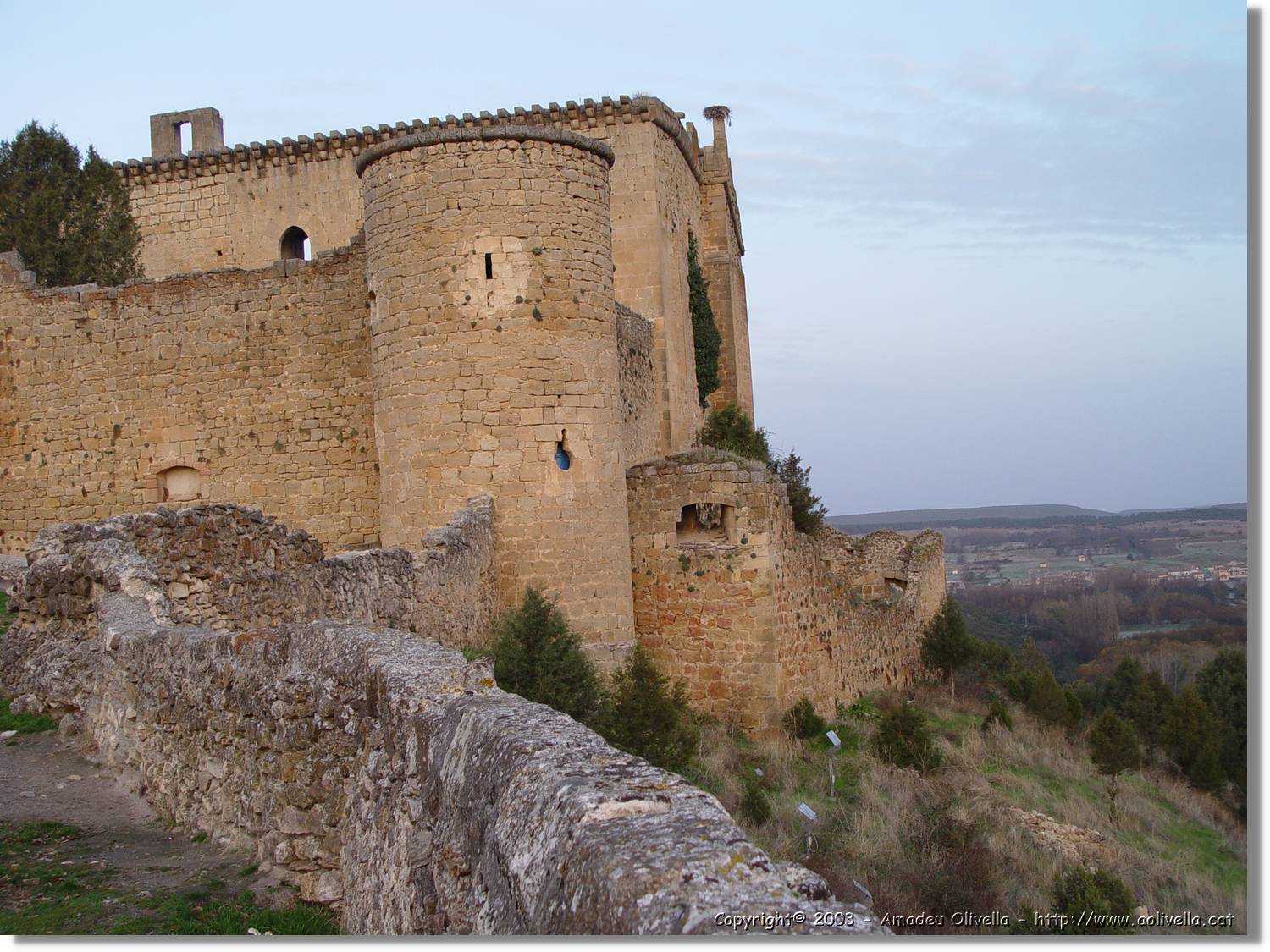 Pedraza_09.jpg
