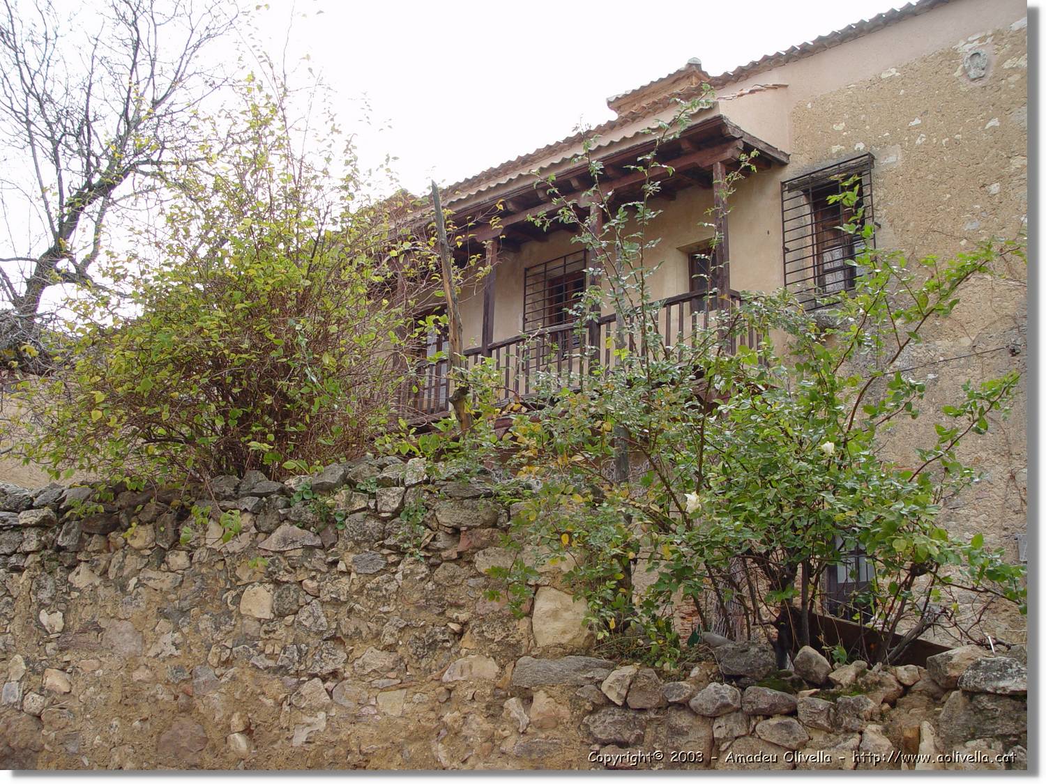 Pedraza_50.jpg