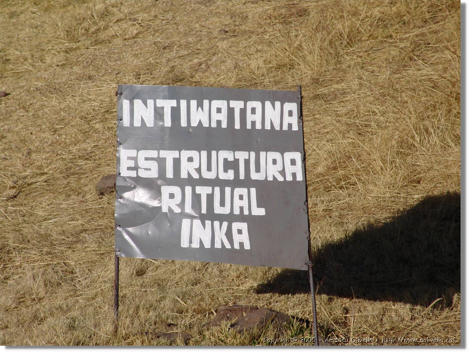 Altipla_011.jpg