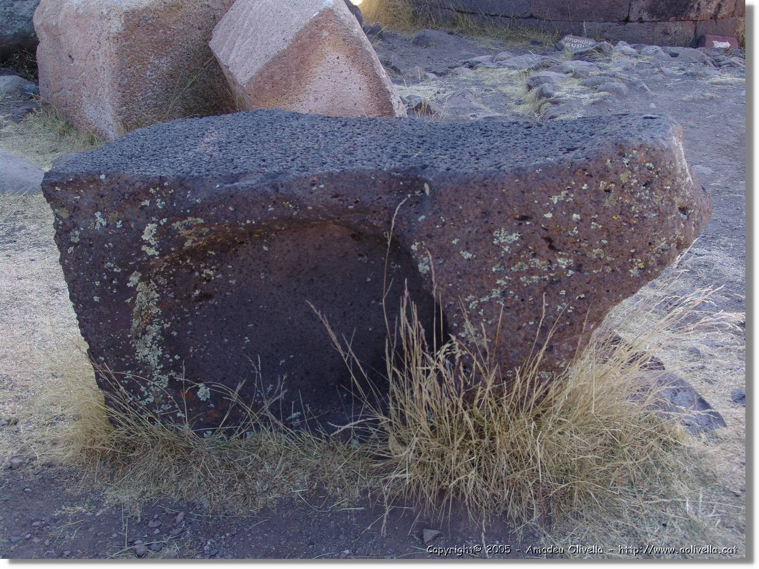 Altipla_027.jpg