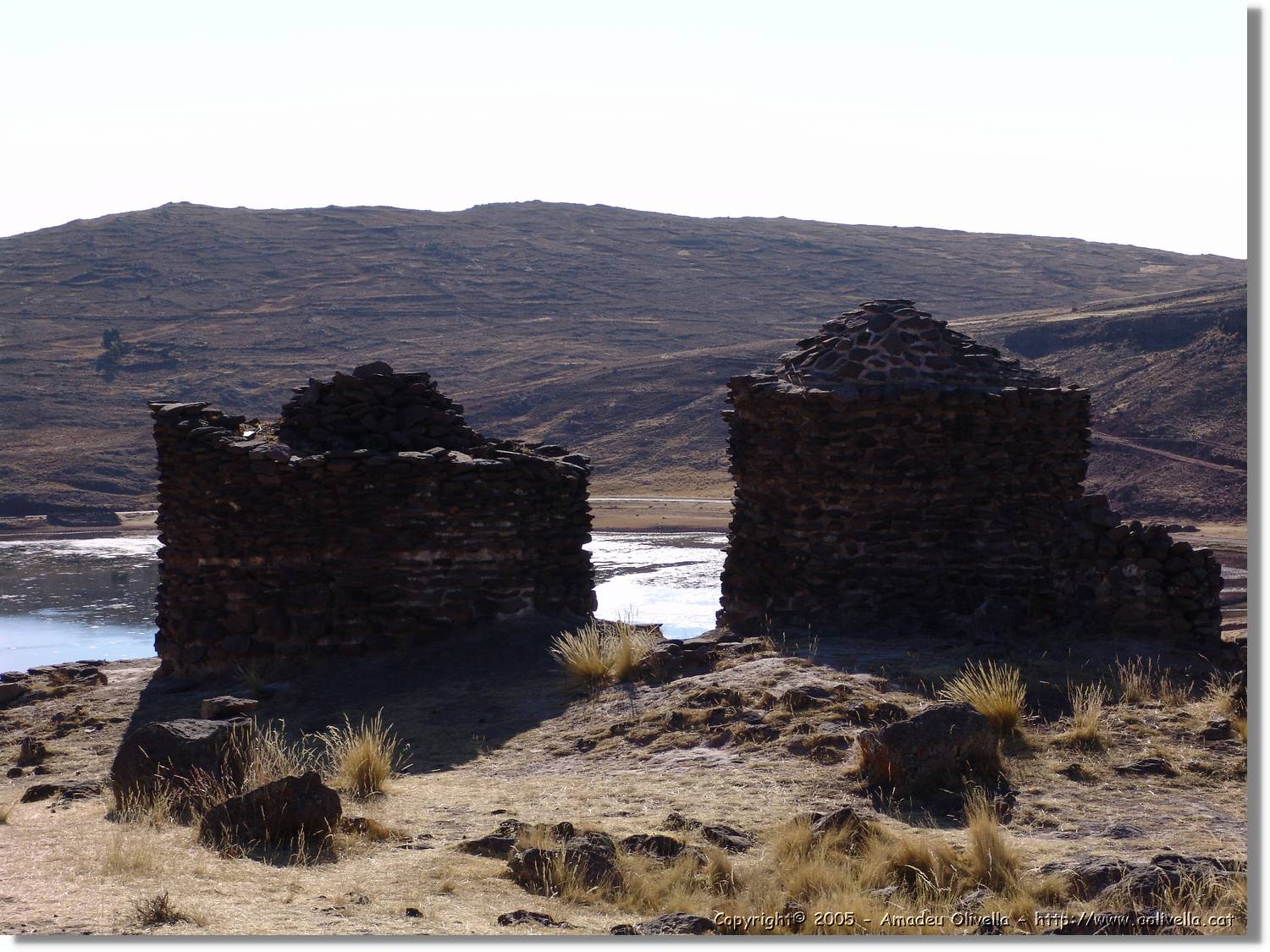 Altipla_049.jpg