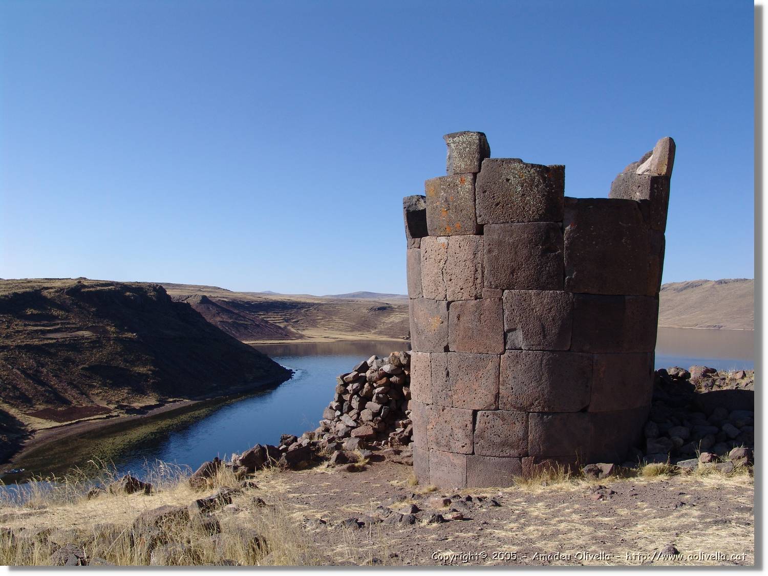 Altipla_050.jpg