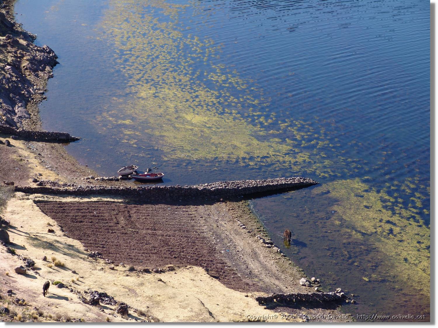 Altipla_054.jpg