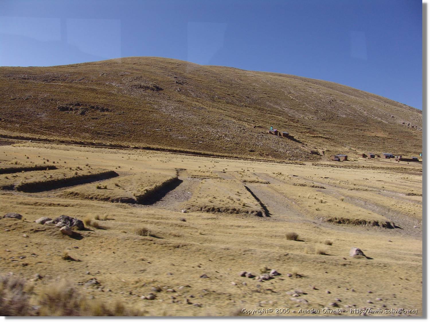 Altipla_068.jpg