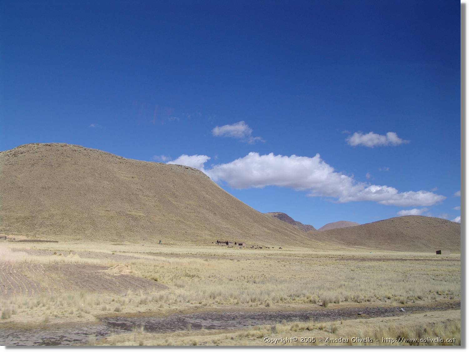 Altipla_091.jpg