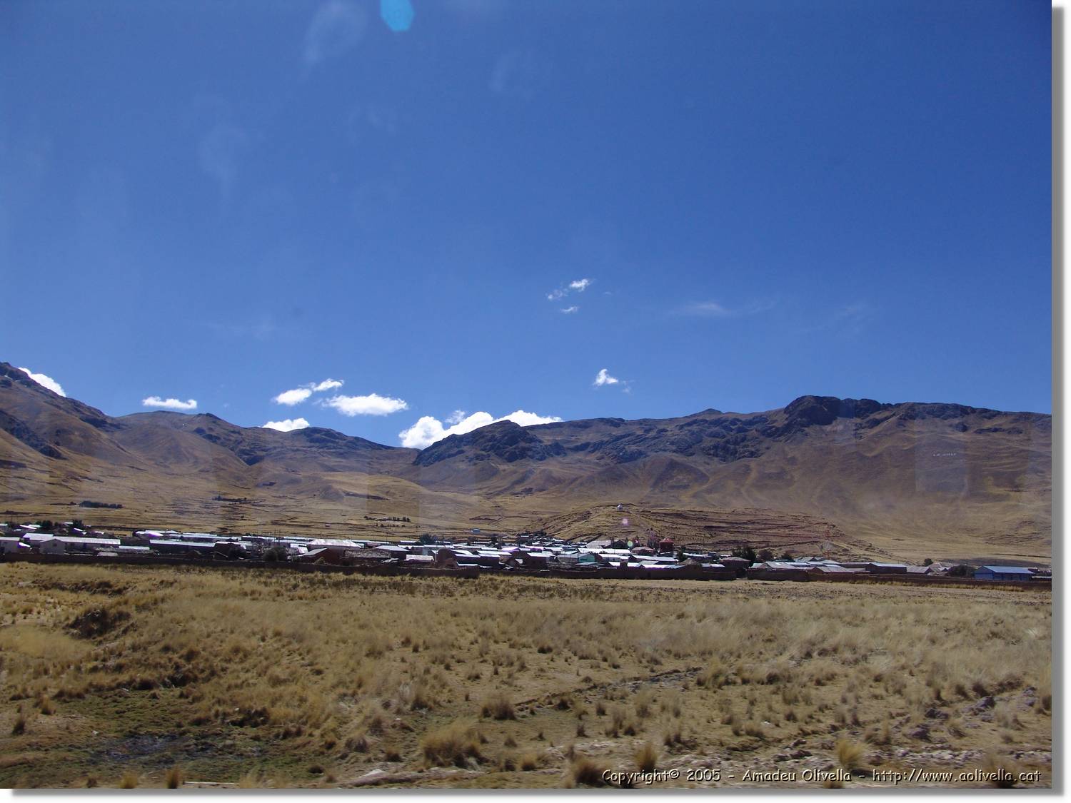 Altipla_103.jpg