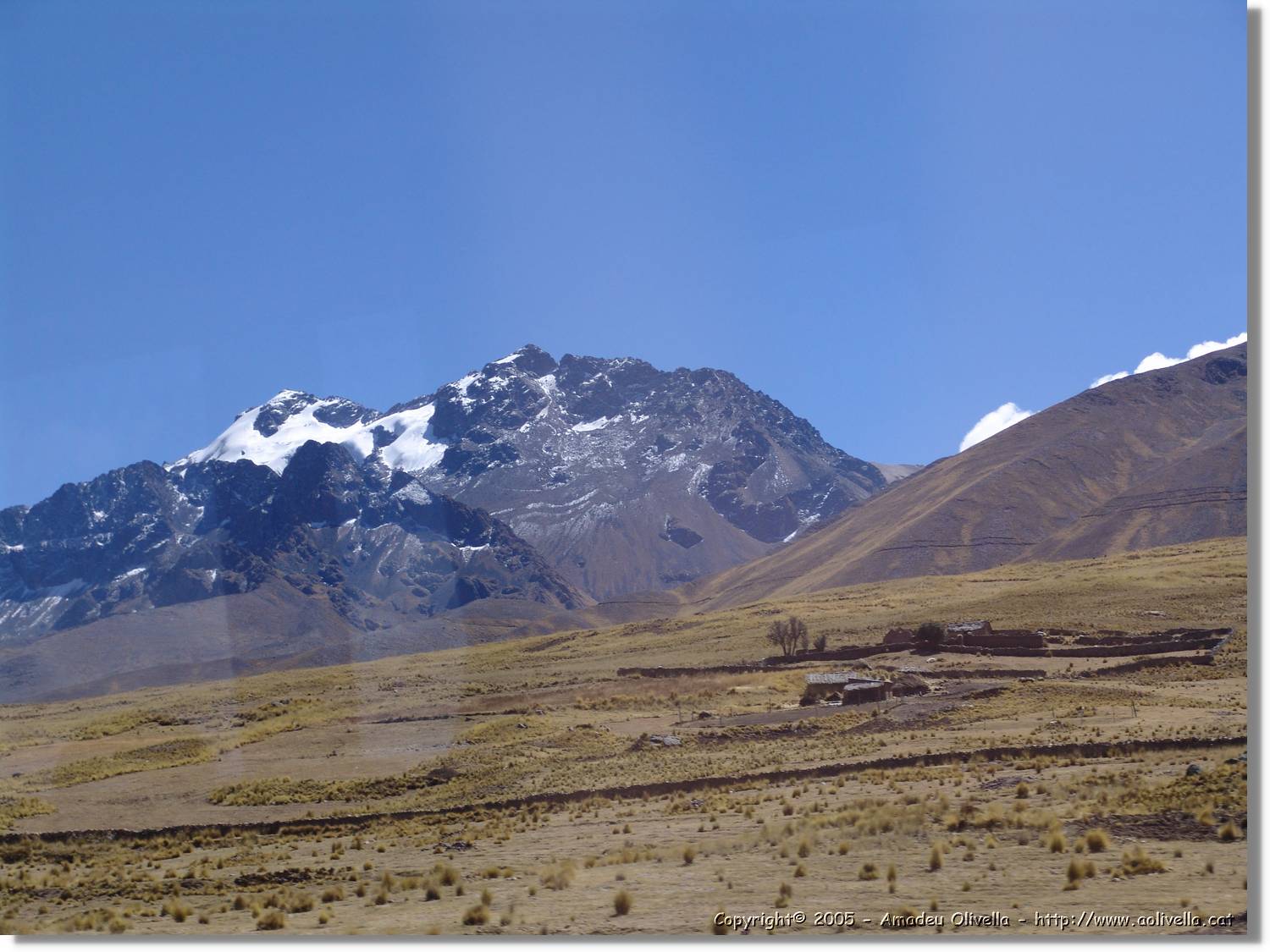 Altipla_105.jpg