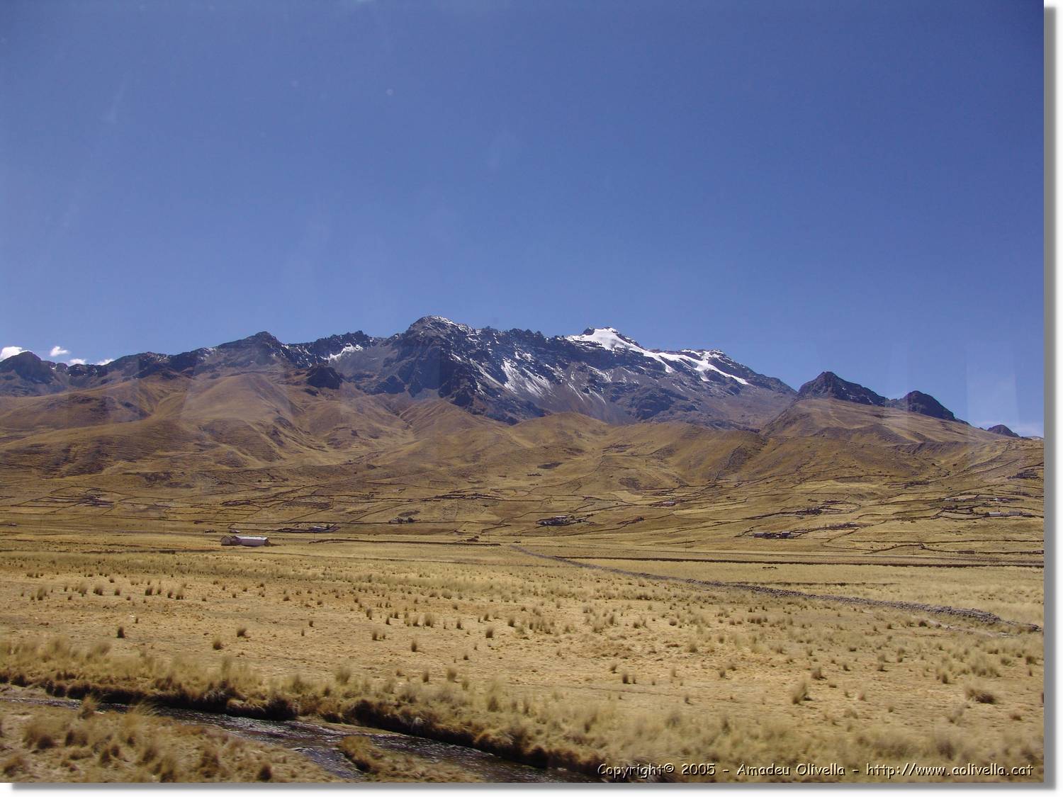 Altipla_109.jpg