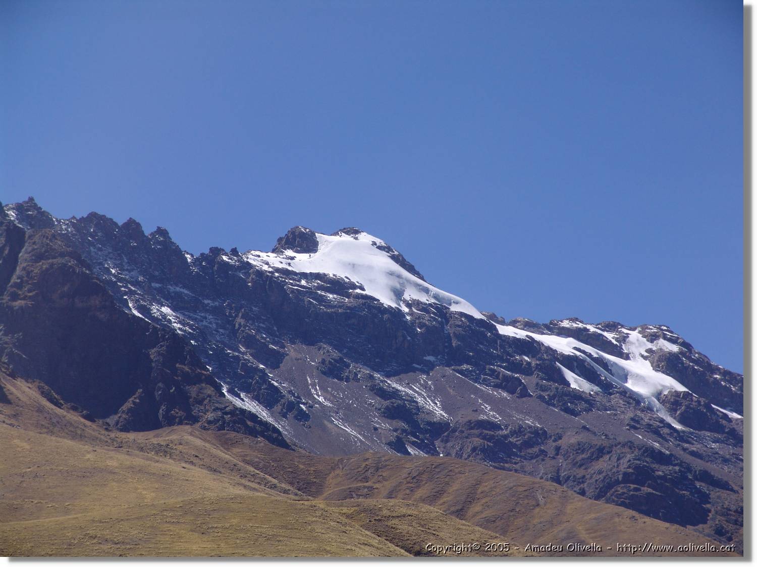 Altipla_110.jpg