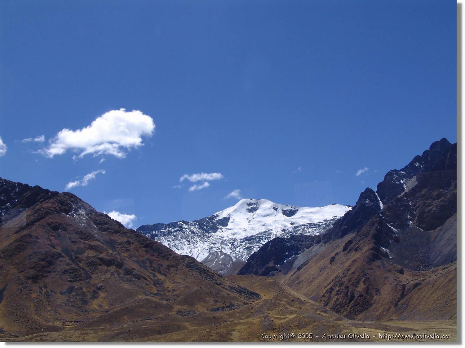 Altipla_115.jpg