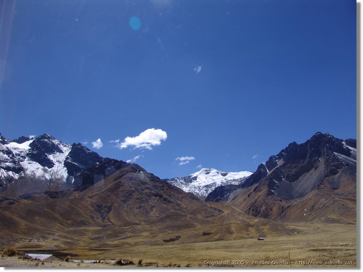 Altipla_116.jpg