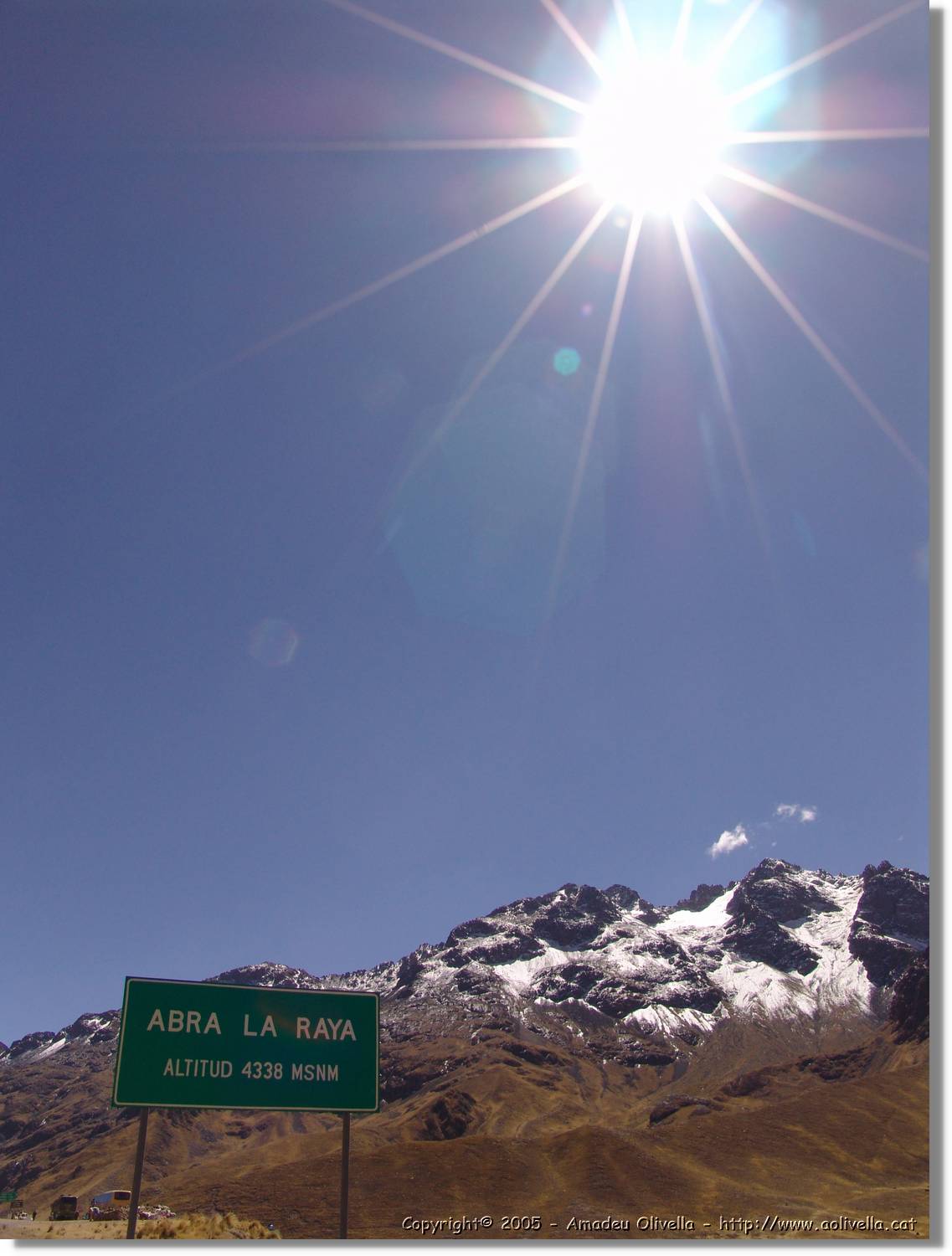 Altipla_118.jpg