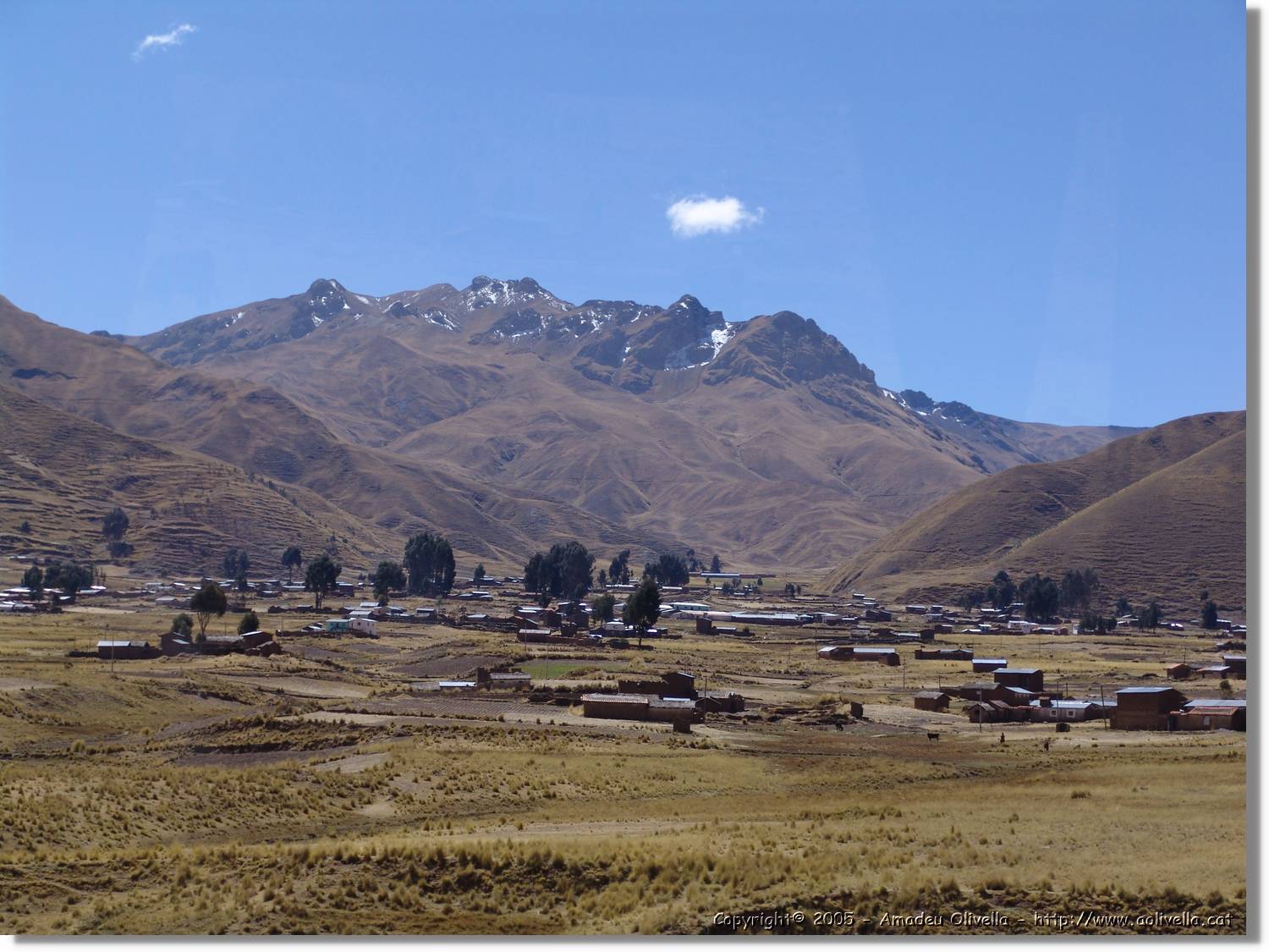 Altipla_131.jpg