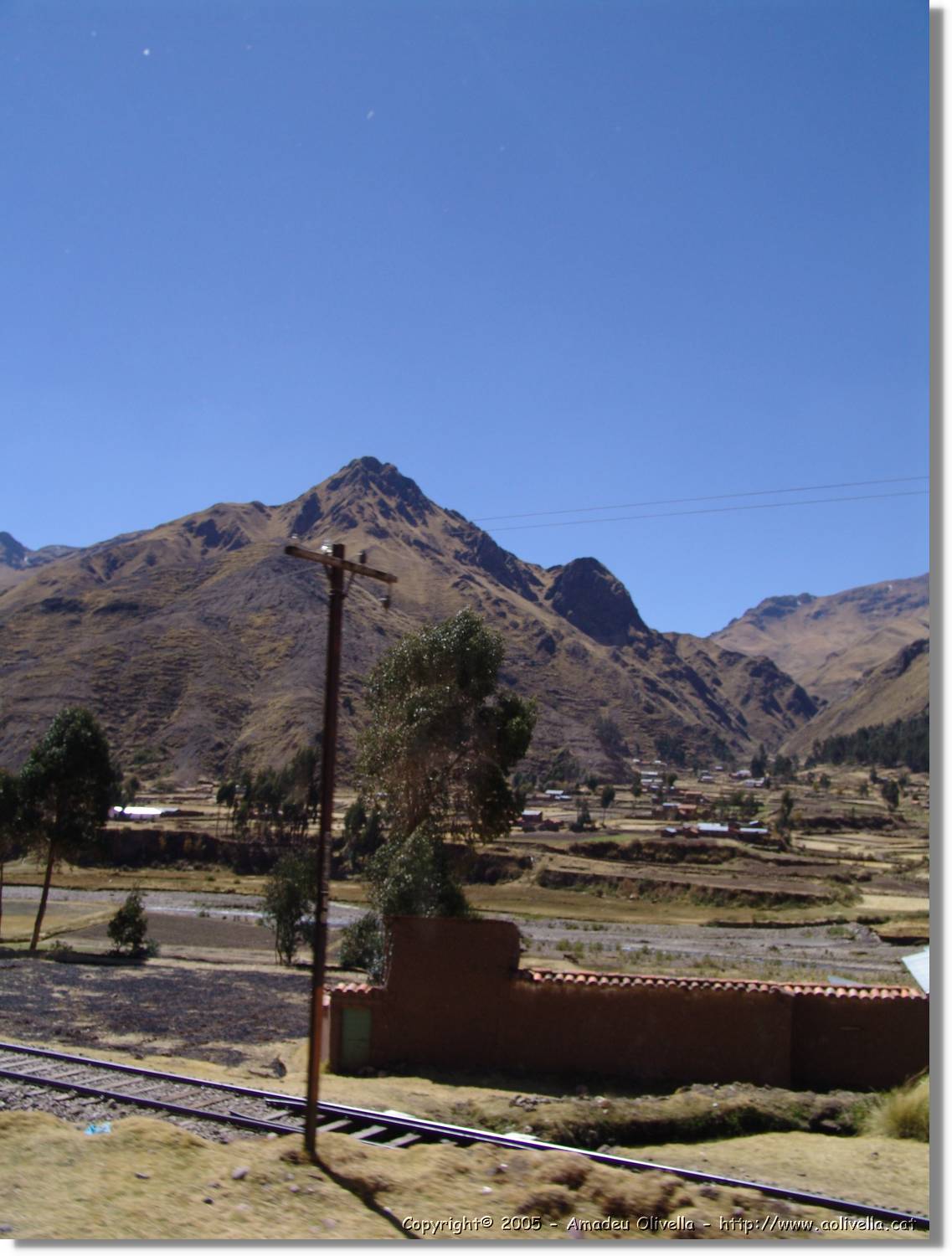 Altipla_134.jpg