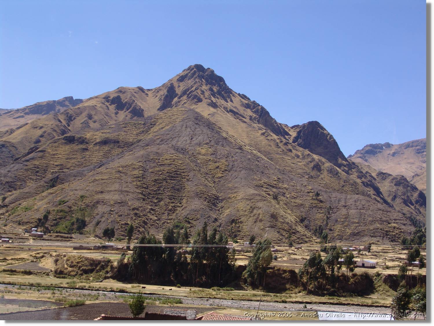 Altipla_135.jpg