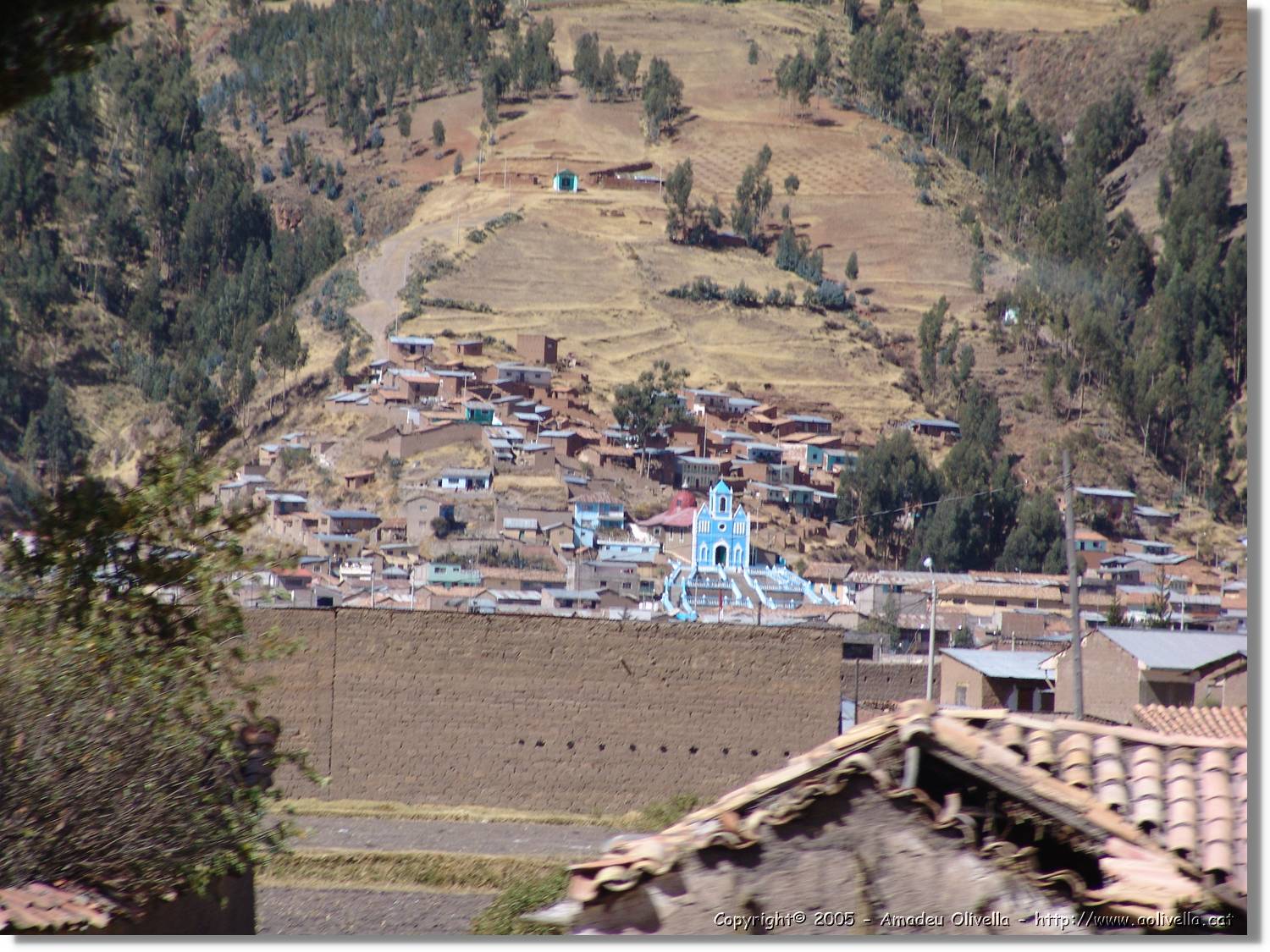 Altipla_140.jpg