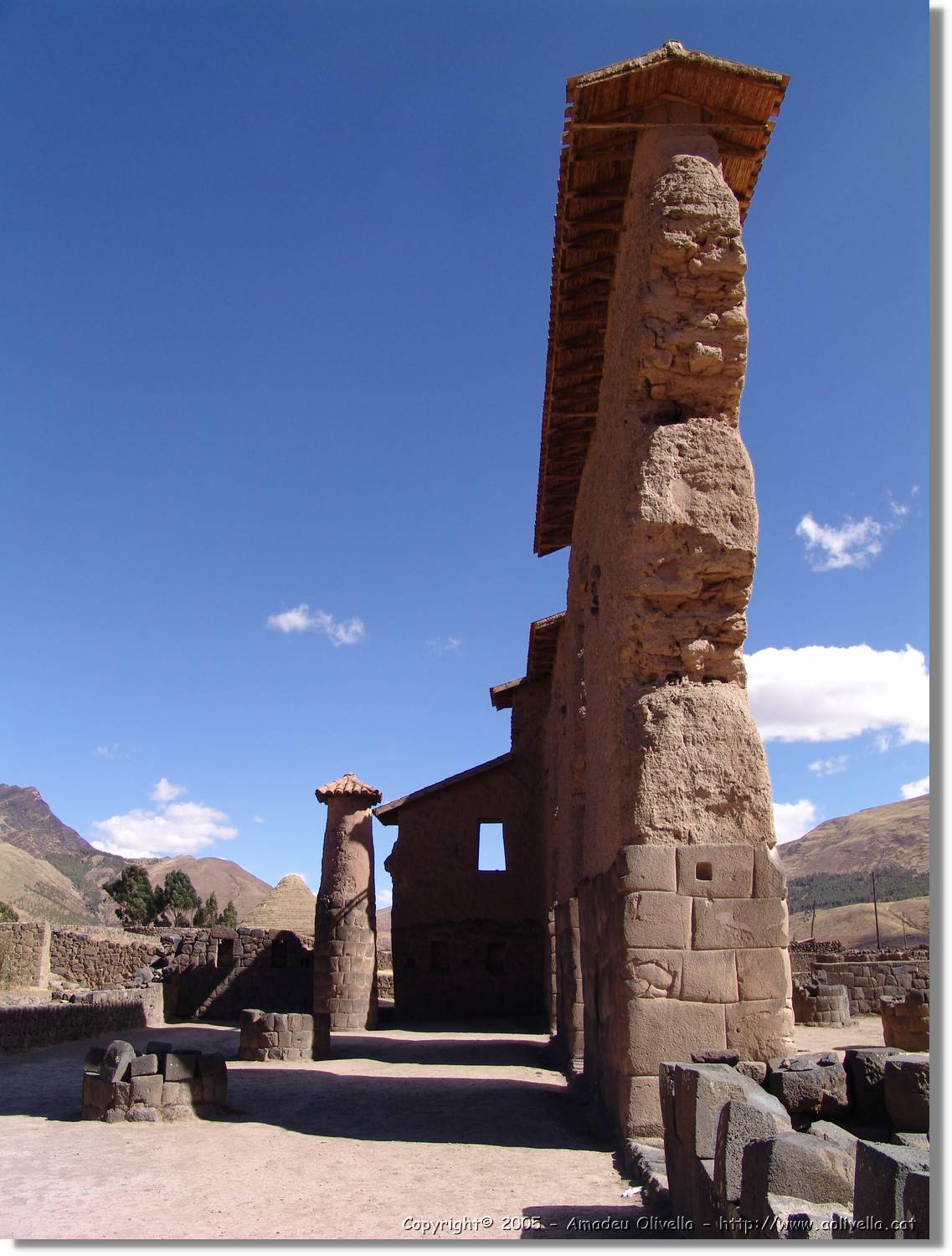 Altipla_157.jpg