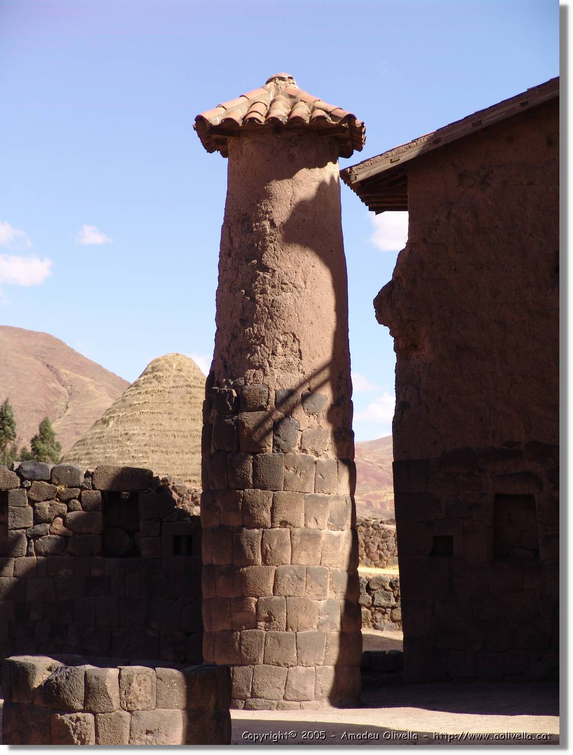 Altipla_159.jpg