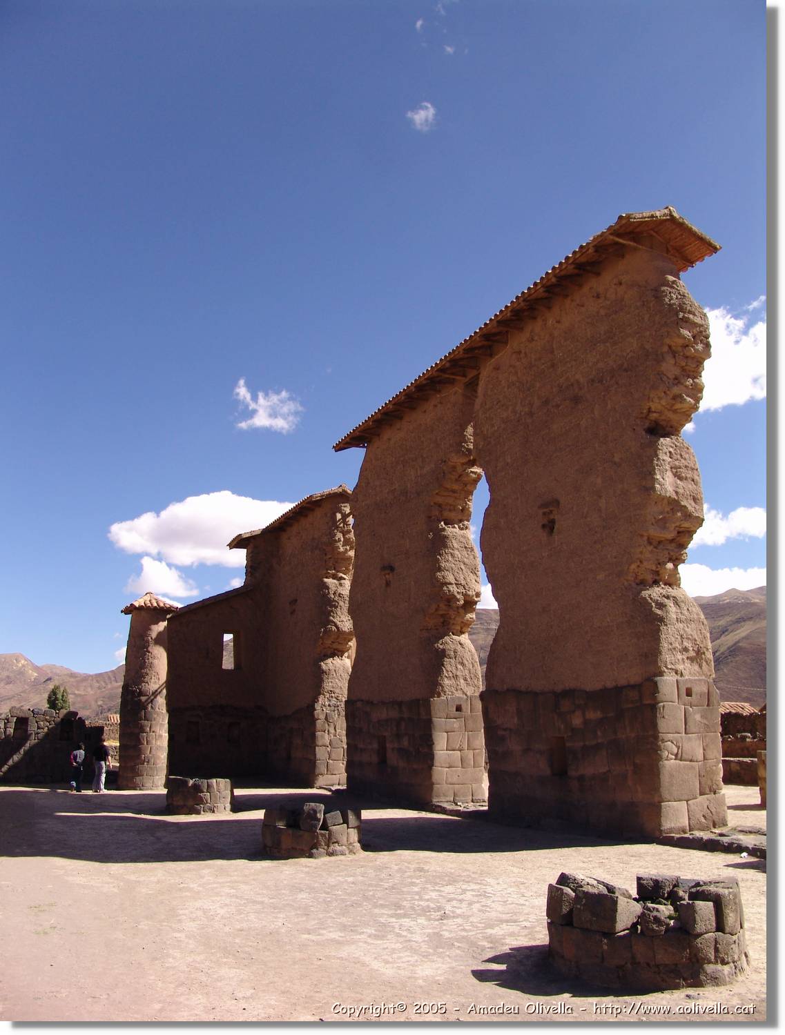 Altipla_160.jpg