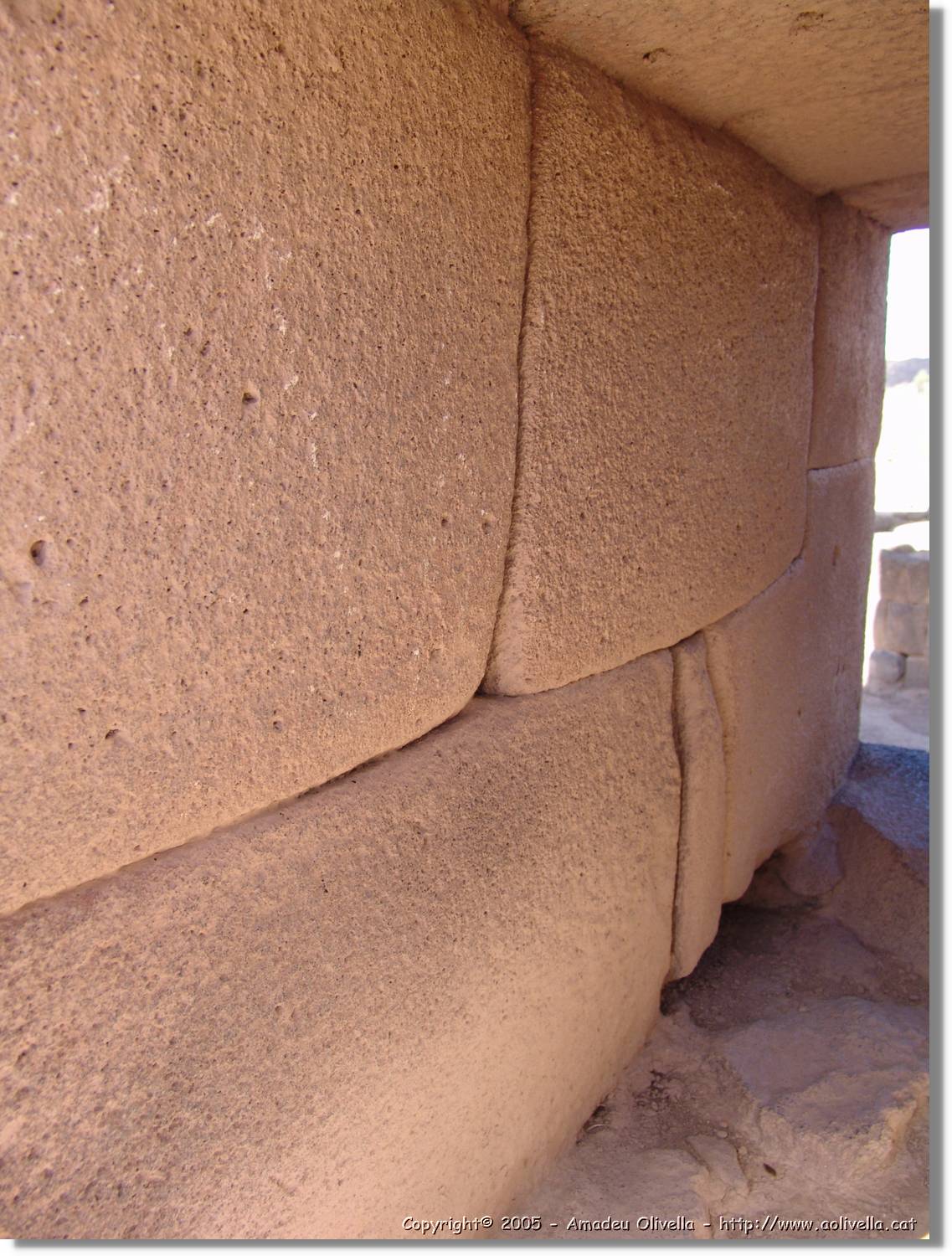 Altipla_164.jpg