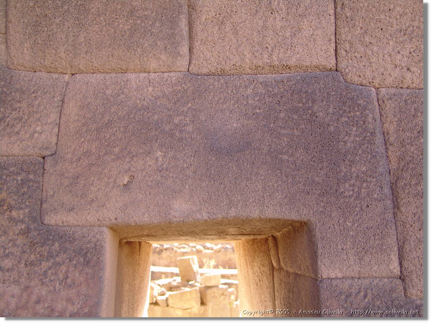 Altipla_167.jpg