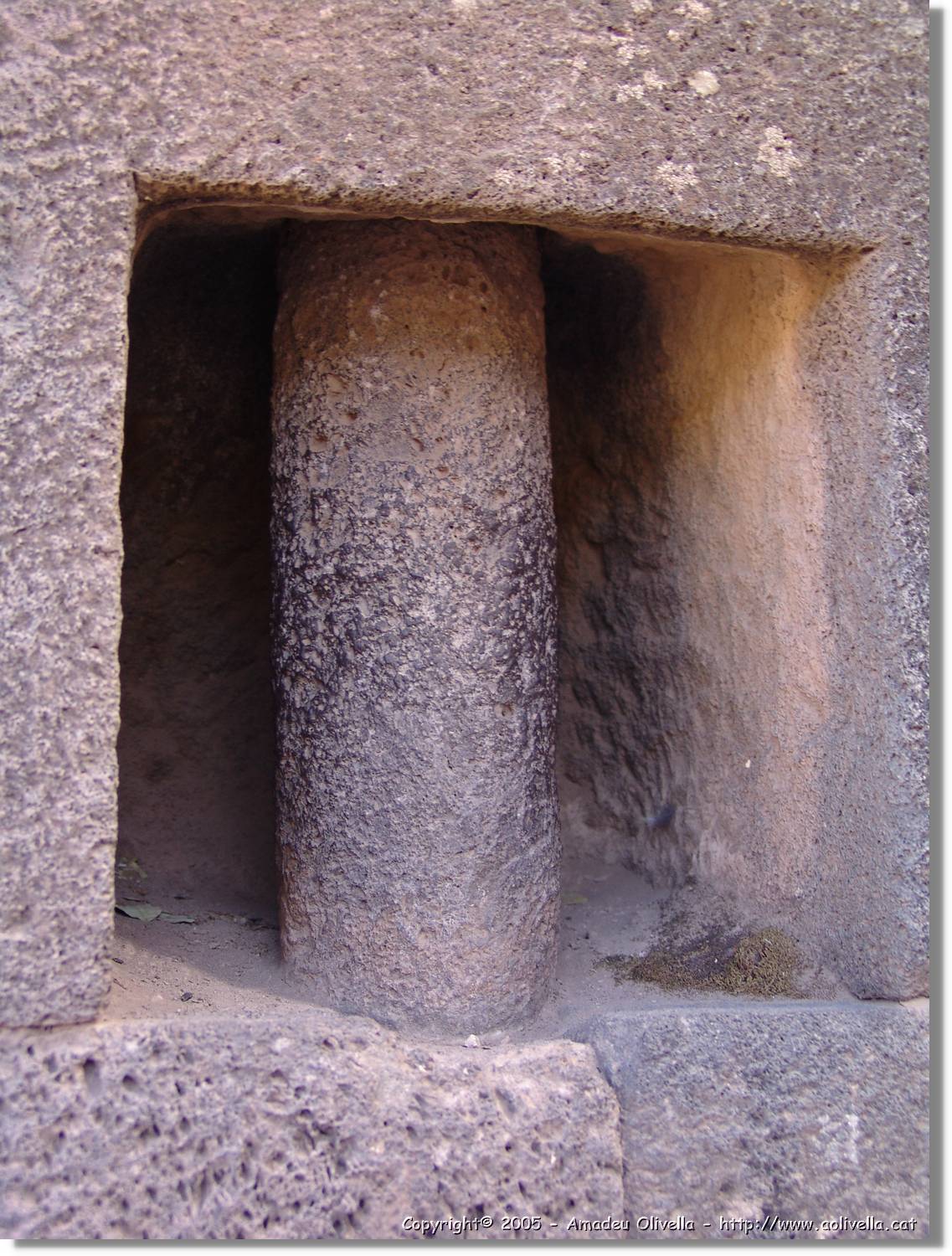 Altipla_168.jpg