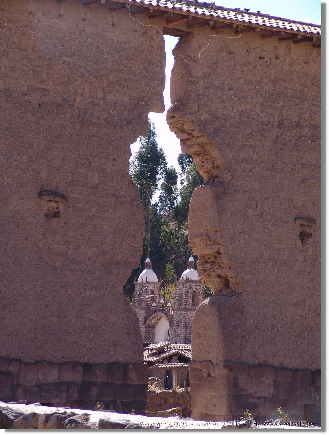 Altipla_176.jpg