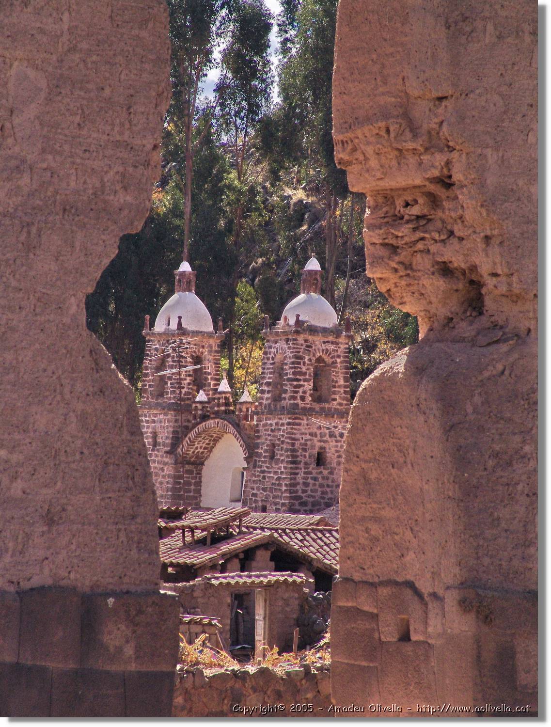 Altipla_180.jpg