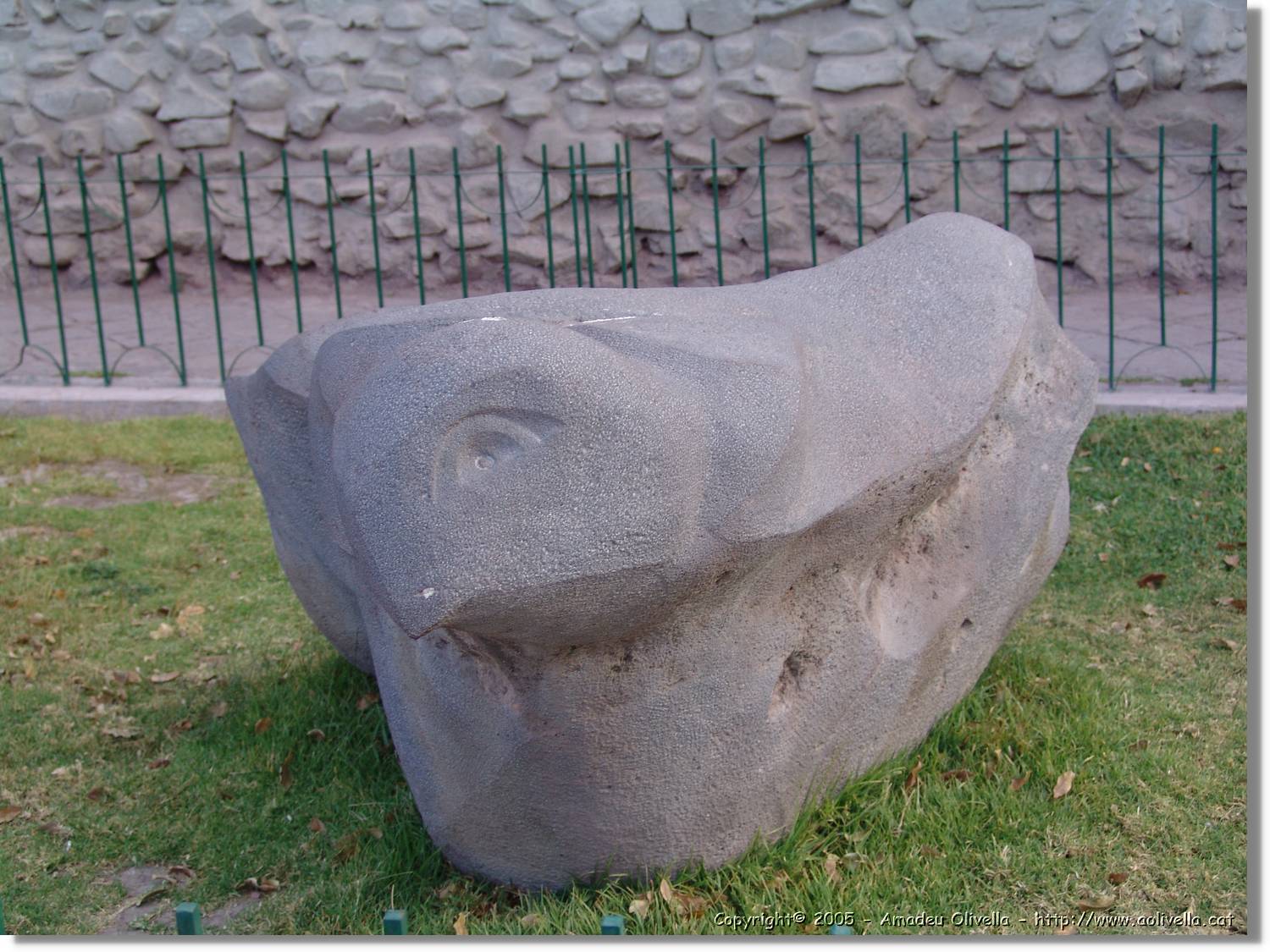 Altipla_192.jpg