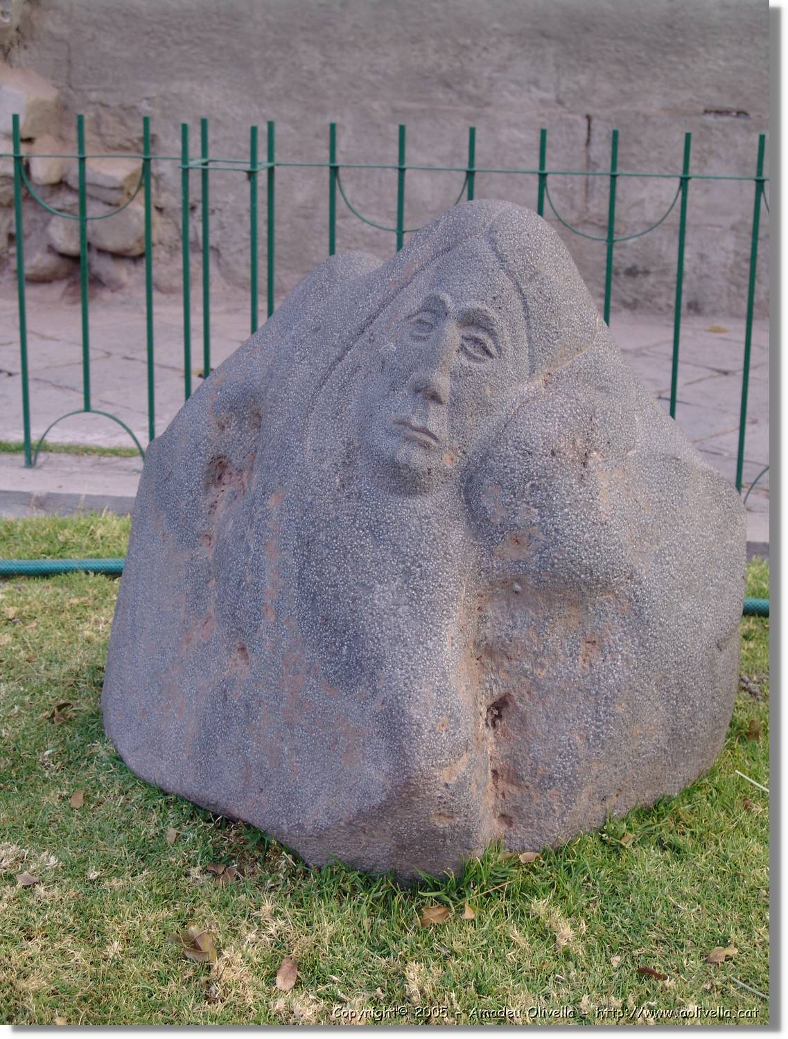 Altipla_193.jpg