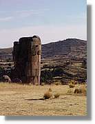 Altipla_053.jpg
