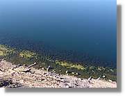 Altipla_055.jpg