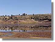 Altipla_065.jpg