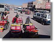 Altipla_080.jpg